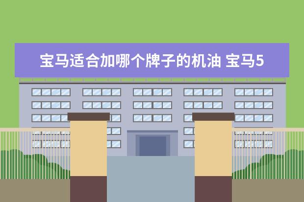 宝马适合加哪个牌子的机油 宝马5系用什么机油