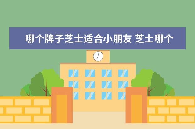 哪个牌子芝士适合小朋友 芝士哪个牌子的比较好吃