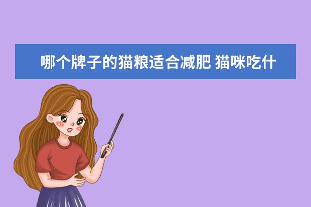 哪个牌子的猫粮适合减肥 猫咪吃什么猫粮好呢