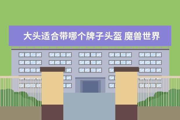 大头适合带哪个牌子头盔 魔兽世界CJQ各部位装备选择问题