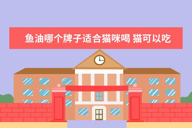 鱼油哪个牌子适合猫咪喝 猫可以吃鱼油吗