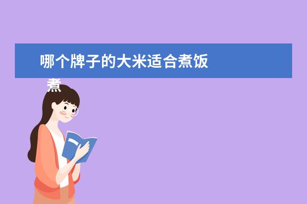 哪个牌子的大米适合煮饭 
  煮饭好吃的大米