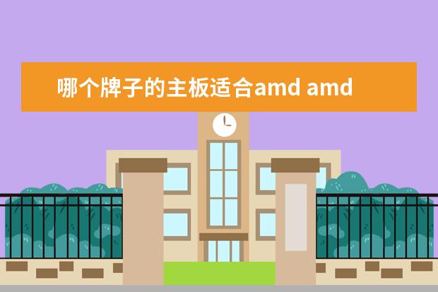 哪个牌子的主板适合amd amd的带集显的主板那个好啊