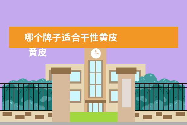 哪个牌子适合干性黄皮 
  黄皮肤适合什么颜色的粉底液4