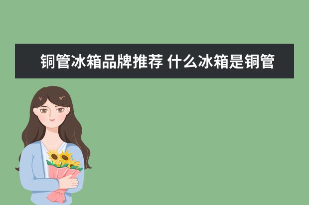 铜管冰箱品牌推荐 什么冰箱是铜管的-什么冰箱是铜管