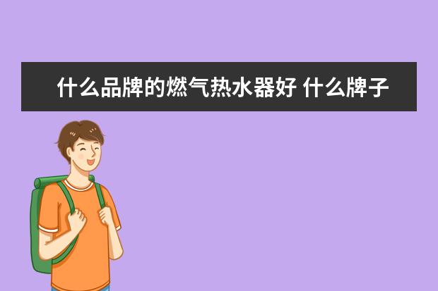 什么品牌的燃气热水器好 什么牌子的燃气热水器好用