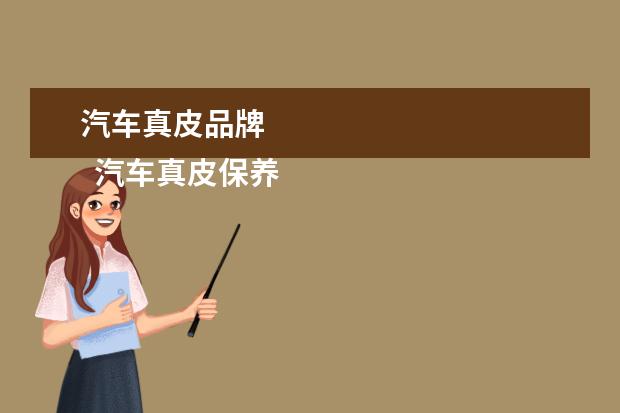 汽车真皮品牌 
  汽车真皮保养油什么牌子好3