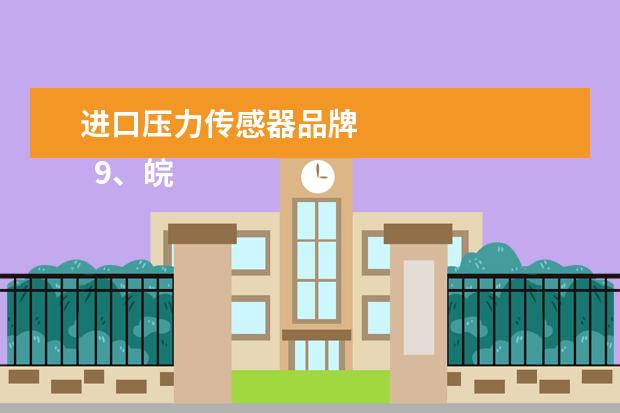 进口压力传感器品牌 
  9、皖仪科技