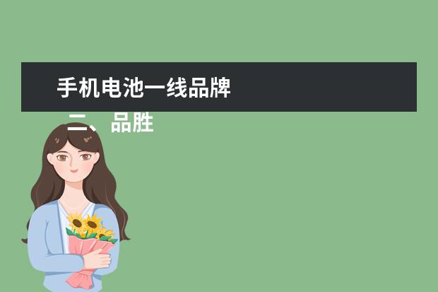 手机电池一线品牌 
  二、品胜手机电池