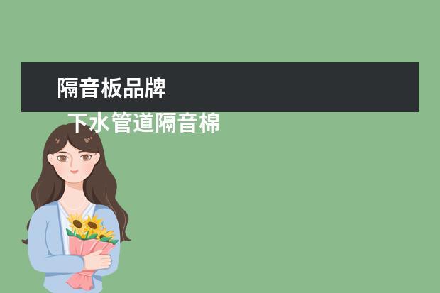 隔音板品牌 
  下水管道隔音棉十大品牌3