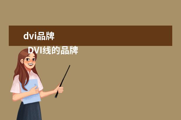 dvi品牌 
  DVI线的品牌与价格