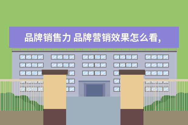 品牌销售力 品牌营销效果怎么看,如何分析?