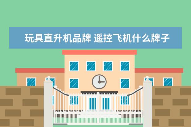 玩具直升机品牌 遥控飞机什么牌子好)
