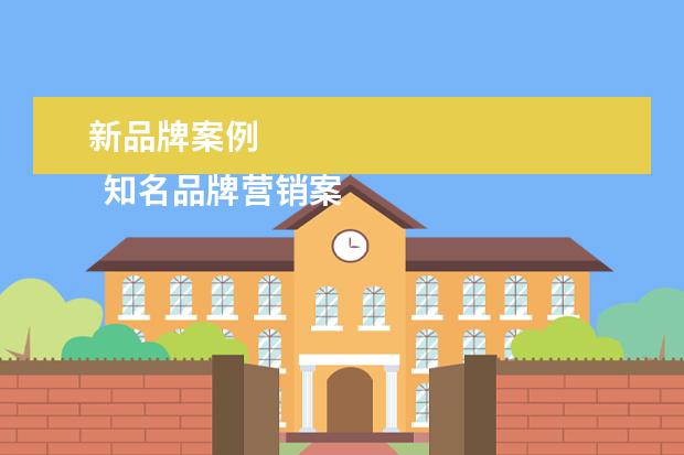 新品牌案例 
  知名品牌营销案例100例1