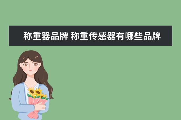 称重器品牌 称重传感器有哪些品牌