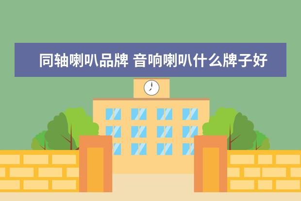 同轴喇叭品牌 音响喇叭什么牌子好