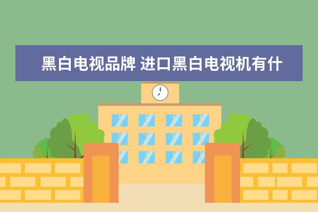 黑白电视品牌 进口黑白电视机有什么品牌
