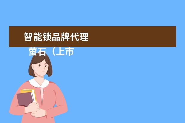 智能锁品牌代理 
  萤石（上市）