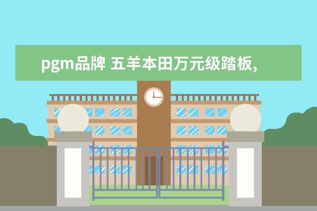 pgm品牌 五羊本田万元级踏板,鲨TECH发动机技术,配PGM-FI电喷...