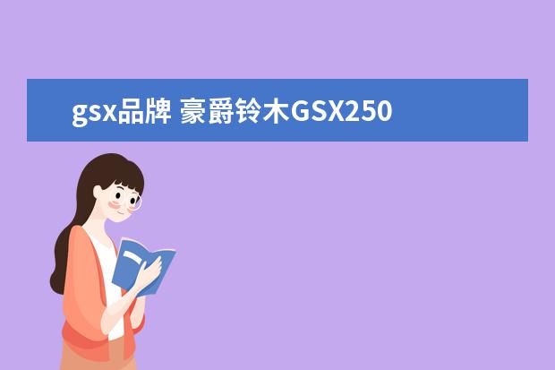 gsx品牌 豪爵铃木GSX250R这款车怎么样?