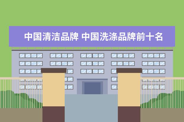 中国清洁品牌 中国洗涤品牌前十名