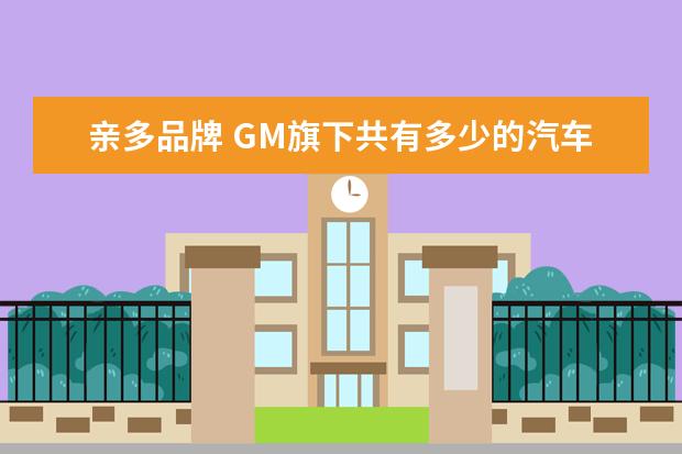 亲多品牌 GM旗下共有多少的汽车品牌?