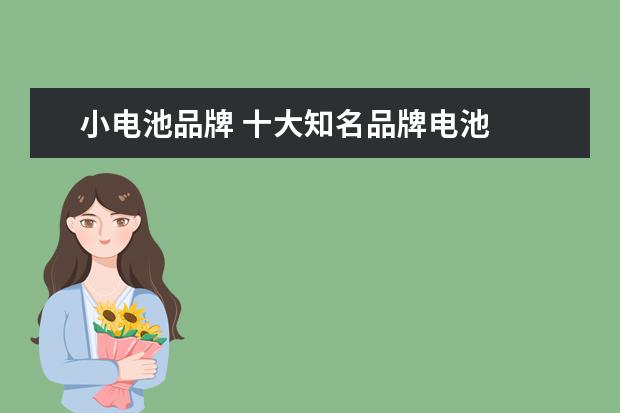 小电池品牌 十大知名品牌电池