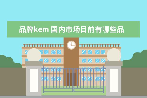 品牌kem 国内市场目前有哪些品牌的中高端质量流量计 - 百度...