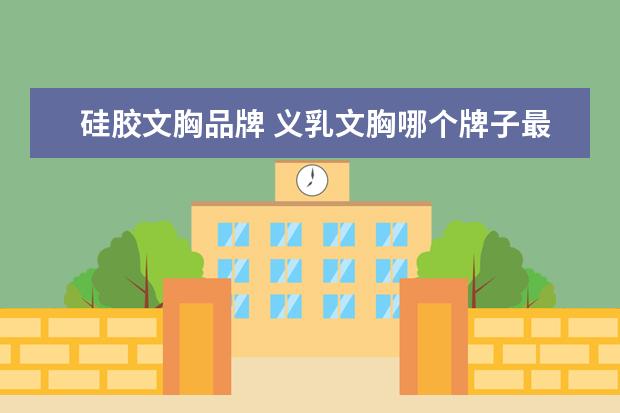 硅胶文胸品牌 义乳文胸哪个牌子最好?