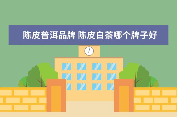 陈皮普洱品牌 陈皮白茶哪个牌子好