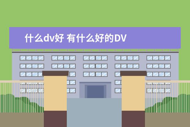 什么dv好 有什么好的DV