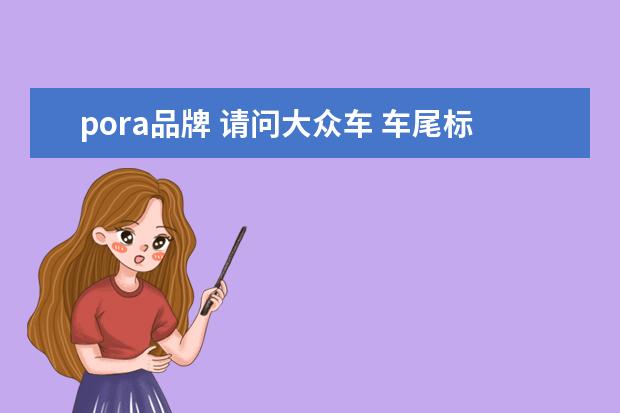 pora品牌 请问大众车 车尾标是PORA 叫什么车名?