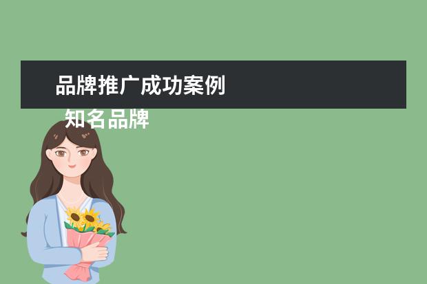 品牌推广成功案例 
  知名品牌营销案例100例2