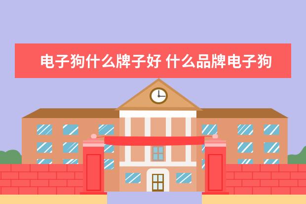 电子狗什么牌子好 什么品牌电子狗最准确