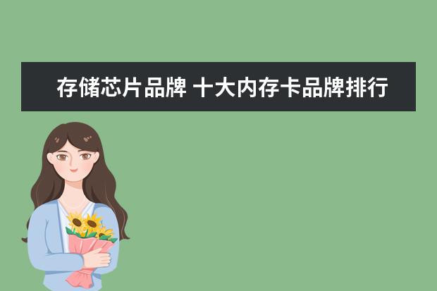 存储芯片品牌 十大内存卡品牌排行榜