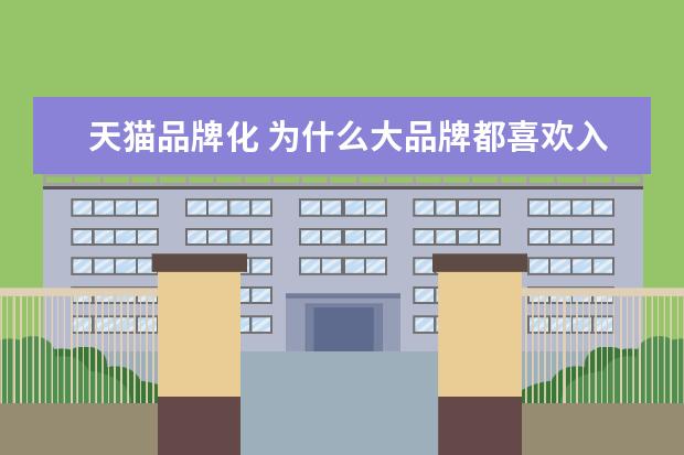 天猫品牌化 为什么大品牌都喜欢入驻天猫?