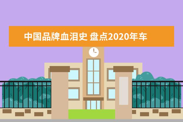 中国品牌血泪史 盘点2020年车圈大事件