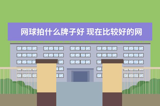 网球拍什么牌子好 现在比较好的网球拍多少钱？什么牌子的？