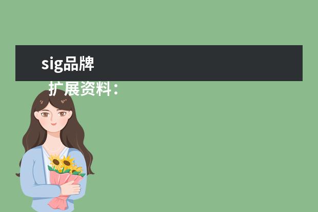 sig品牌 
  扩展资料：