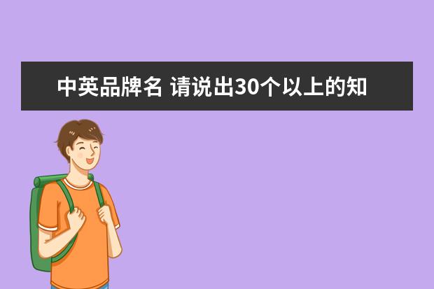 中英品牌名 请说出30个以上的知名电脑产品产家的中英文名字,要...