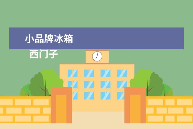 小品牌冰箱 
  西门子
