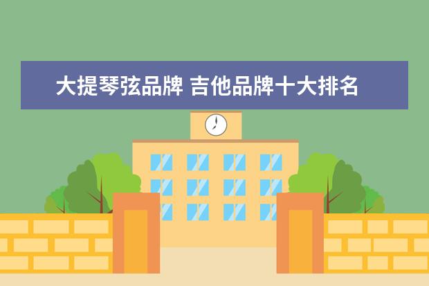 大提琴弦品牌 吉他品牌十大排名