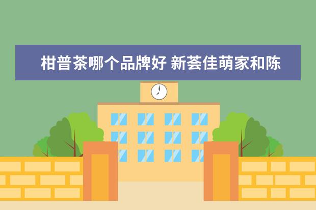 柑普茶哪个品牌好 新荟佳萌家和陈滋堂陈皮哪个好?