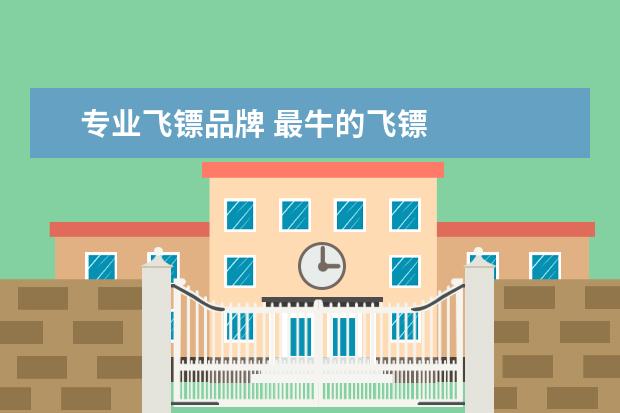 专业飞镖品牌 最牛的飞镖