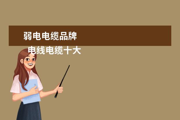弱电电缆品牌 
  电线电缆十大名牌3