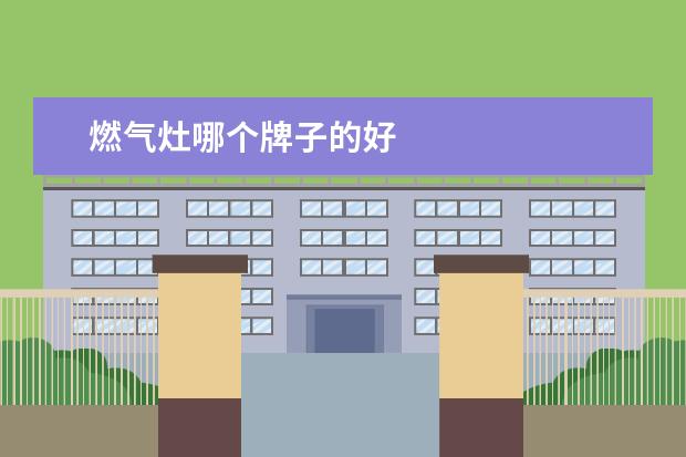 燃气灶哪个牌子的好