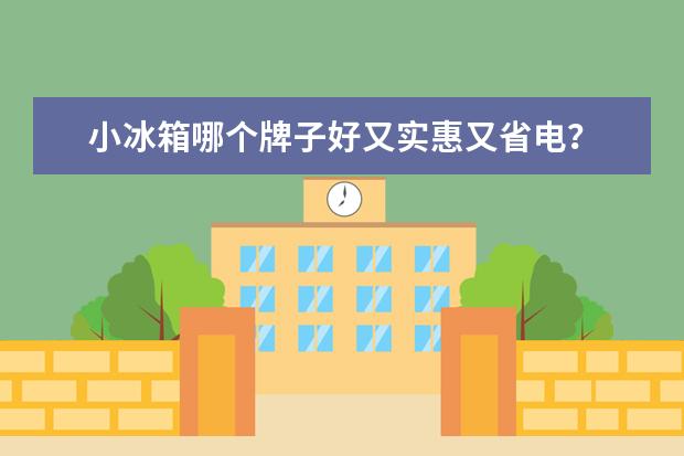 小冰箱哪个牌子好又实惠又省电？