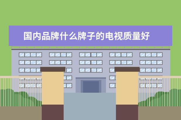 国内品牌什么牌子的电视质量好