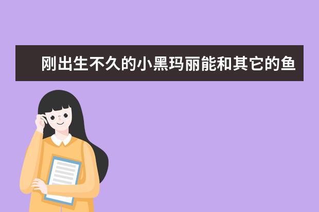 刚出生不久的小黑玛丽能和其它的鱼在一起养吗？
