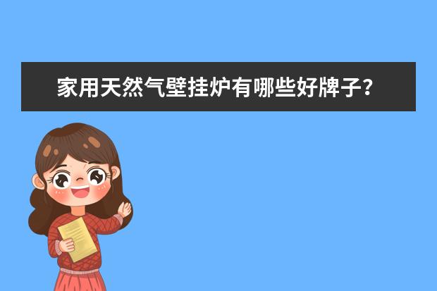 家用天然气壁挂炉有哪些好牌子？